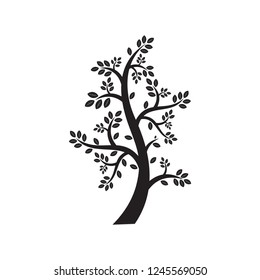 Vector Tree Simple Silhouette Symbol Nature Ecology Element