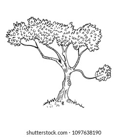 vector tree sketch in black pen