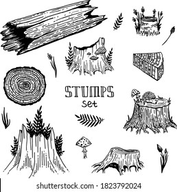 Vector tree stump forest set
