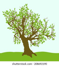vector a tree in summer 