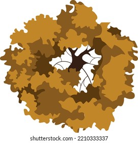 Vector Tree Top View Brown Color