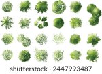 Vector tree top view isolated on white background for landscape plan and architecture layout drawing, elements for environment and garden