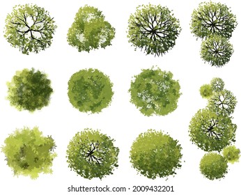 Vector tree top view isolated on white background  for landscape plan and architecture layout drawing, elements for environment and garden