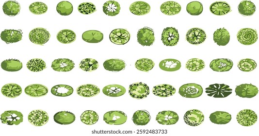 Vector tree top view isolated on white background for landscape plan and architecture