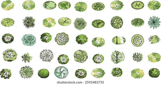 Vector tree top view isolated on white background for landscape plan and architecture