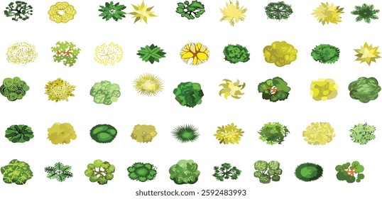 Vector tree top view isolated on white background for landscape plan and architecture