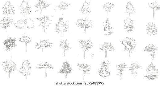 Vector tree top view isolated on white background for landscape plan and architecture