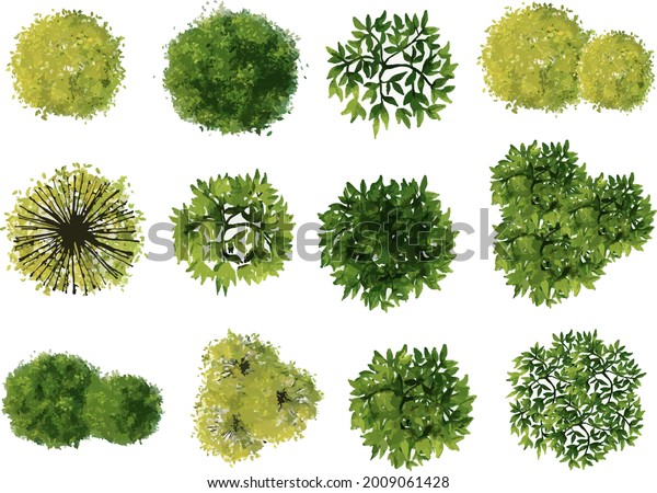 Vector Tree Top View Isolated On Stock Vector (Royalty Free) 2009061428 ...