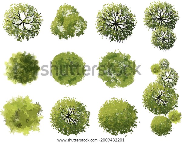 Vector Tree Top View Isolated On Stock Vector (Royalty Free) 2009432201 ...