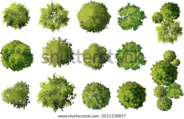 8,045 Tree Top Drawing Stock Vectors, Images & Vector Art | Shutterstock