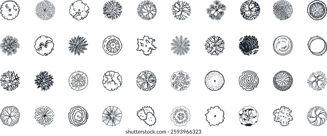 Vector tree top watercolor hand drawn view isolated on white background for landscape plan and architecture layout drawing,