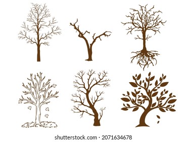 VECTOR TREE TRUNK, SILHOUETTE, POSTER