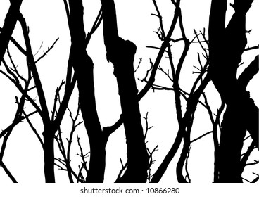 vector tree with white background