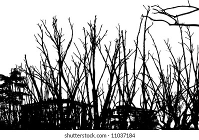 vector tree with white background