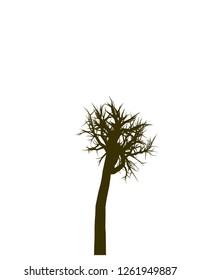 Vector tree without leaves