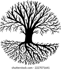 Vector tree without leaves. A tree without leaves inscribed in a circle.