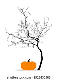 vector tree without leaves and pumpkin isolated on white background