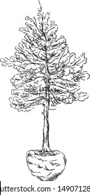 vector - árbol envuelto y listo para la venta - aislado en el fondo