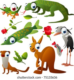 vector tree-frog, varan, pike, heron, weasel and kangaroo
