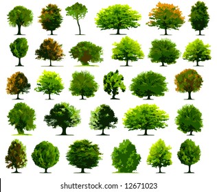 Vector trees