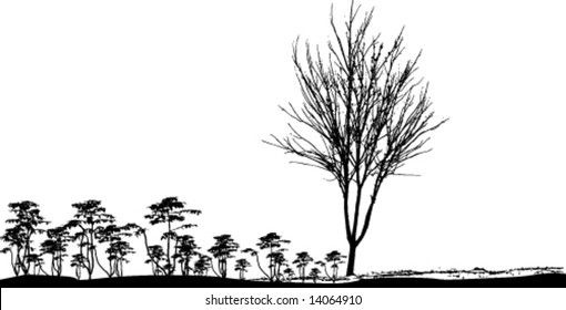 vector trees