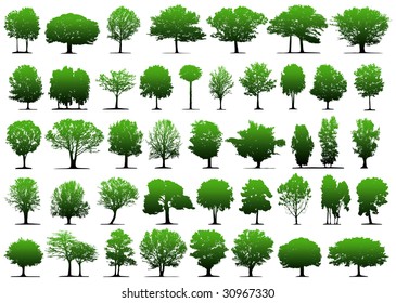 Vector trees