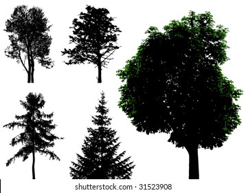 Vector Trees Stock Vector (Royalty Free) 31523908 | Shutterstock