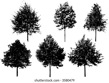vector trees