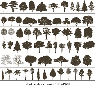 vector trees svg