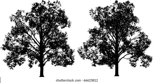 Vector trees