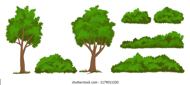 Vector Trees And Bushes Set Isolated On White Baskground