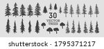 Vector trees - collection of 30 detailed and different tree silhouette illustrations. Eps set. 