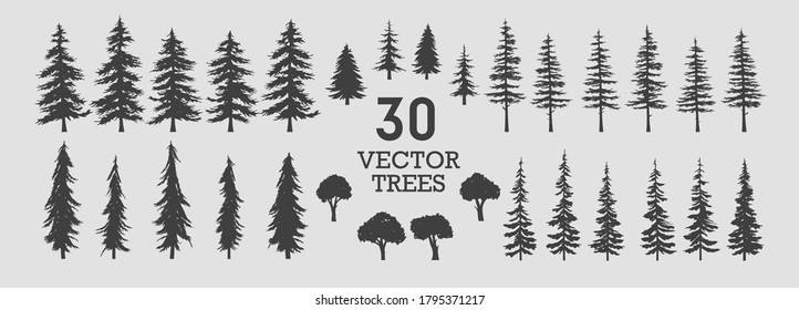 Vector trees - collection of 30 detailed and different tree silhouette illustrations. Eps set. 