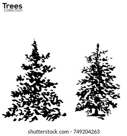 Vector Trees collection. Ink sketched Fir silhouettes