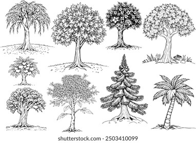 Vector trees coloring book set of 9 trees | tree doodle set | maple tree pine willow apple oak palm cherry blossom | coloring book | forest coloring book 