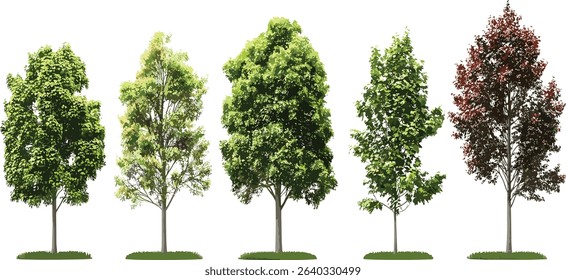 Vector trees cutout shapes, landscape decoration collection, nature elements, forest silhouettes, garden design, tree silhouettes, green foliage, landscape art