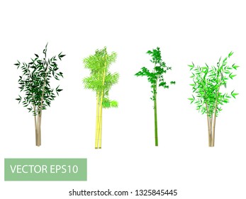 Vector trees and flowers