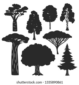 Vector trees forest black silhouettes isolated on white background. Birch and oak, evergreen pine silhouette illustration