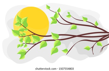 vector of trees with green leaves and sunlight