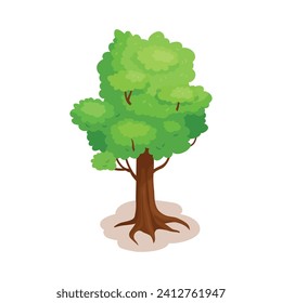 Vector trees illustration on white background.