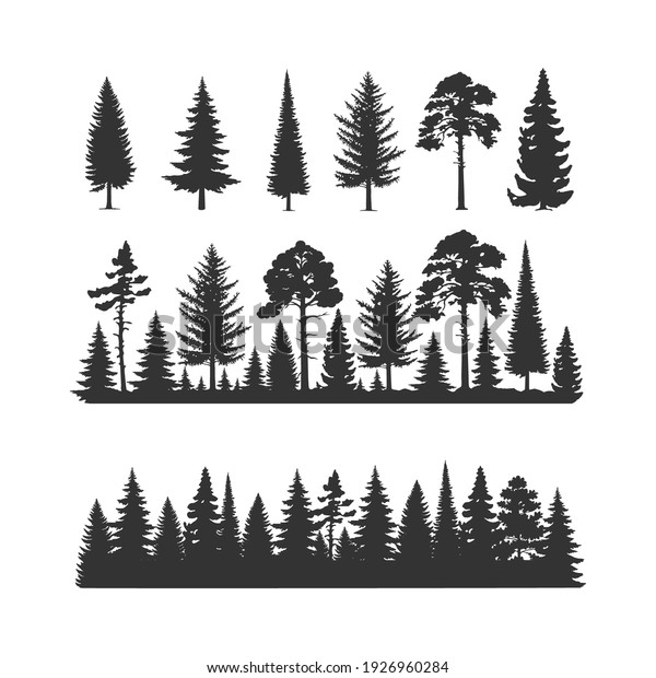 Vector trees illustrations. Monochrome\
illustrations with a coniferous\
trees.