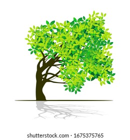 vector of trees and isolated leaves on a white background