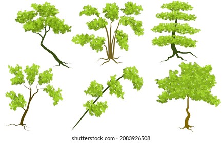 vector trees isolated on white background