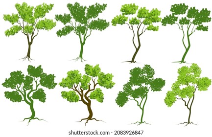 vector trees isolated on white background