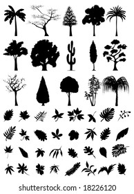 vector trees and leaf collection