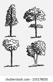 Vector trees with leaves 