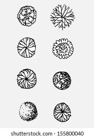 Vector trees with leaves