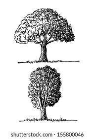 Vector trees with leaves