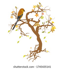 vector of trees and leaves in autumn there is an isolated bird with a white background