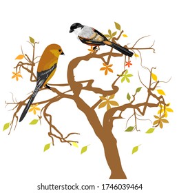 vector of trees and leaves in autumn there is an isolated bird with a white background